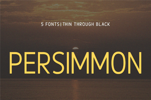 Persimmon Font Review: A Designer’s Take on Modern Sans Serif Utility