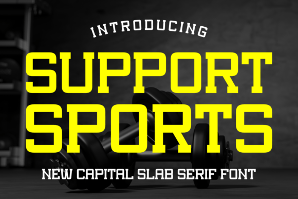 Support Sports: The Bold Slab Serif for High-Impact Web Design
